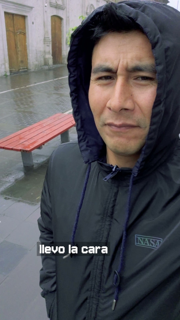 Ver el video el línea