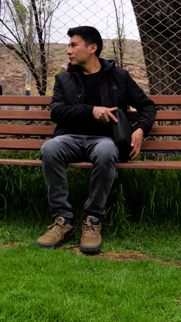 Ver el video el línea